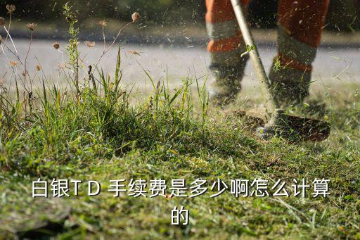 上海黃金交易所手續(xù)費(fèi)萬分之幾,黃金交易所買板料手續(xù)費(fèi)