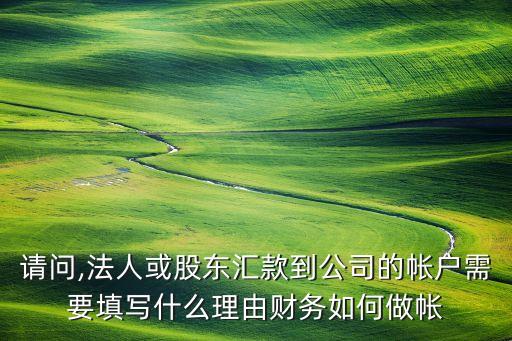 請(qǐng)問(wèn),法人或股東匯款到公司的帳戶需要填寫什么理由財(cái)務(wù)如何做帳