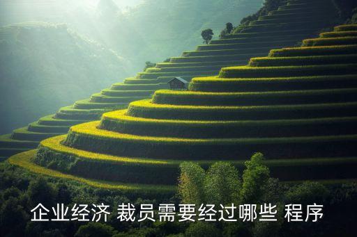 企業(yè)經(jīng)濟 裁員需要經(jīng)過哪些 程序