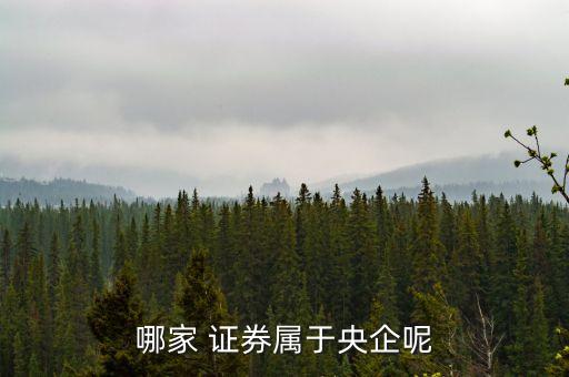 哪家 證券屬于央企呢