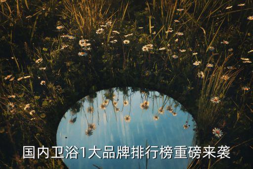 國內衛(wèi)浴1大品牌排行榜重磅來襲