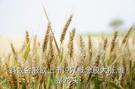 螞蟻金服欲上市,9只概念股大漲,誰是龍頭