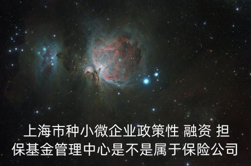  上海市種小微企業(yè)政策性 融資 擔(dān)?；鸸芾碇行氖遣皇菍儆诒ｋU公司