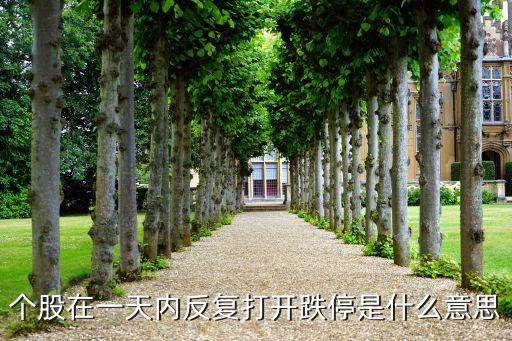 個(gè)股在一天內(nèi)反復(fù)打開跌停是什么意思