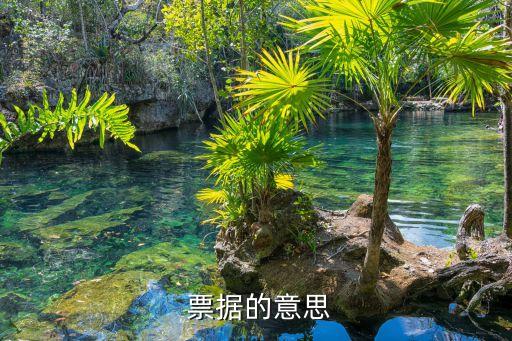 商業(yè)銀行不認(rèn)購央行票據(jù),國家商業(yè)銀行股權(quán)認(rèn)購項目