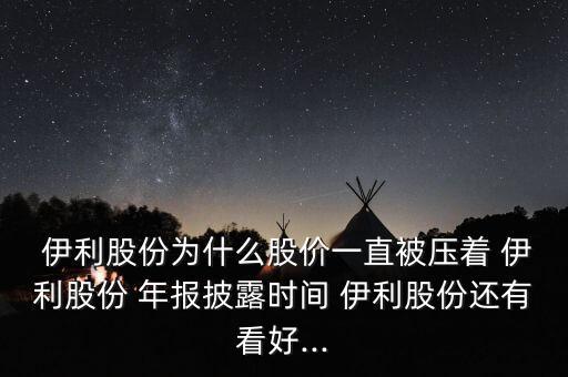 伊利集團(tuán)2014年報