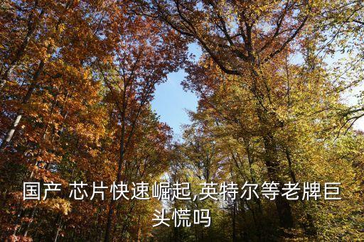 國產 芯片快速崛起,英特爾等老牌巨頭慌嗎