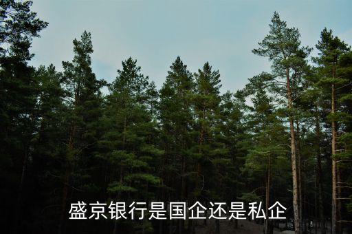 盛京銀行股份有限公司獨立董事,新華都購物廣場股份有限公司獨立董事