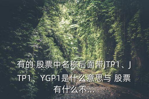 有的 股票中名稱后面帶JTP1、JTP1、YGP1是什么意思與 股票有什么不...