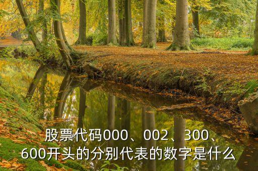  股票代碼000、002、300、600開頭的分別代表的數(shù)字是什么