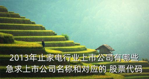 2013年止家電行業(yè)上市公司有哪些急求上市公司名稱和對應的 股票代碼