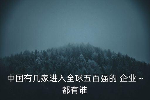 中國有幾家進(jìn)入全球五百強(qiáng)的 企業(yè)～都有誰