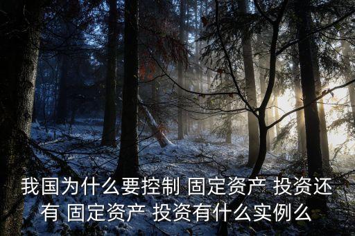 我國為什么要控制 固定資產 投資還有 固定資產 投資有什么實例么