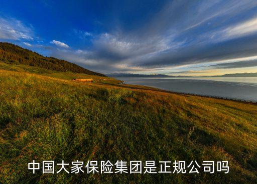 人民網子公司