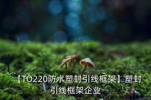 【TO220防水塑封引線(xiàn)框架】塑封引線(xiàn)框架企業(yè)