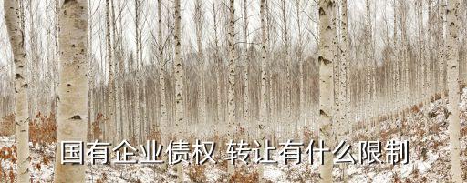 國有企業(yè)債權(quán) 轉(zhuǎn)讓有什么限制