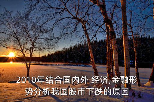 2010年結(jié)合國(guó)內(nèi)外 經(jīng)濟(jì),金融形勢(shì)分析我國(guó)股市下跌的原因