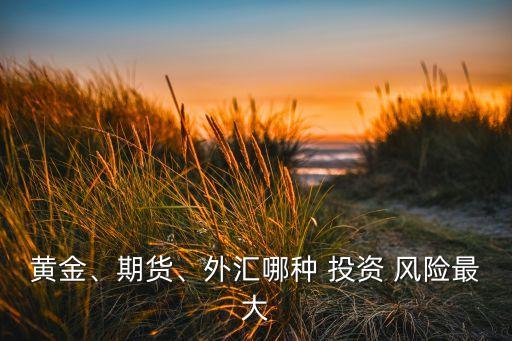 投資風(fēng)險(xiǎn)最大的市場(chǎng)是,投資股票的風(fēng)險(xiǎn)
