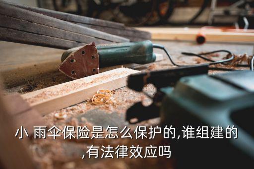 小 雨傘保險是怎么保護的,誰組建的,有法律效應嗎