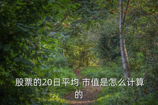 股票的20日平均 市值是怎么計(jì)算的