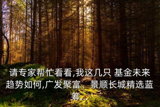 請(qǐng)專家?guī)兔纯?我這幾只 基金未來趨勢(shì)如何,廣發(fā)聚富、景順長(zhǎng)城精選藍(lán)籌...