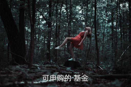 可申購的 基金
