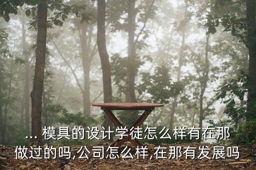 ... 模具的設(shè)計(jì)學(xué)徒怎么樣有在那做過(guò)的嗎,公司怎么樣,在那有發(fā)展嗎