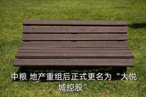 中糧集團地產