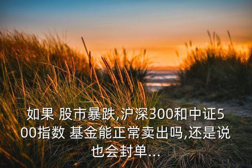 如果 股市暴跌,滬深300和中證500指數 基金能正常賣出嗎,還是說也會封單...