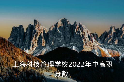 上?？萍脊芾韺W(xué)校2022年中高職分?jǐn)?shù)