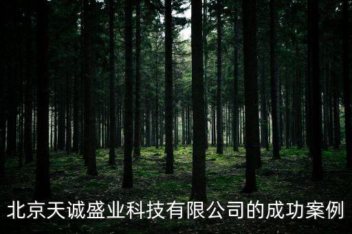 北京天誠(chéng)盛業(yè)科技有限公司的成功案例