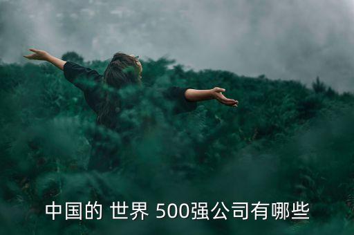 中國的 世界 500強(qiáng)公司有哪些
