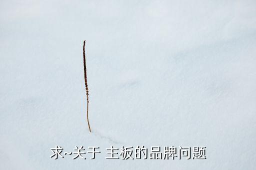 求~關(guān)于 主板的品牌問(wèn)題