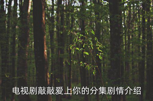 上海子望投資合伙企業(yè),上?？狄藰蛲顿Y咨詢合伙企業(yè)