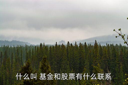互聯(lián)網(wǎng)與證券投資基金的關(guān)系,證券投資基金當(dāng)事人之間的關(guān)系
