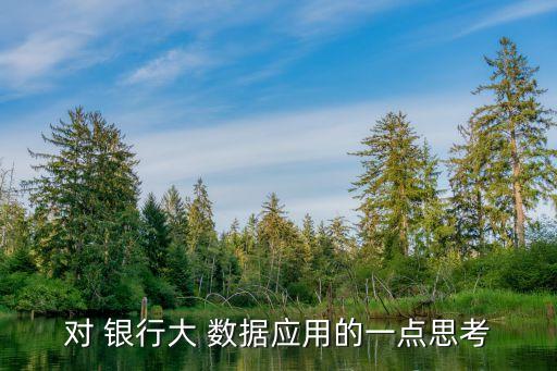 對 銀行大 數(shù)據(jù)應(yīng)用的一點思考