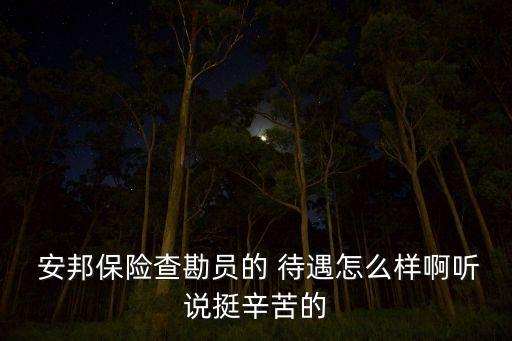 安邦保險(xiǎn)查勘員的 待遇怎么樣啊聽(tīng)說(shuō)挺辛苦的