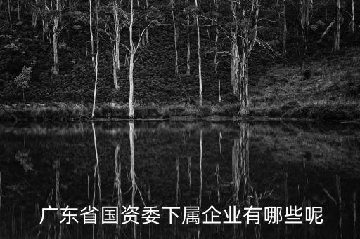  廣東省國(guó)資委下屬企業(yè)有哪些呢