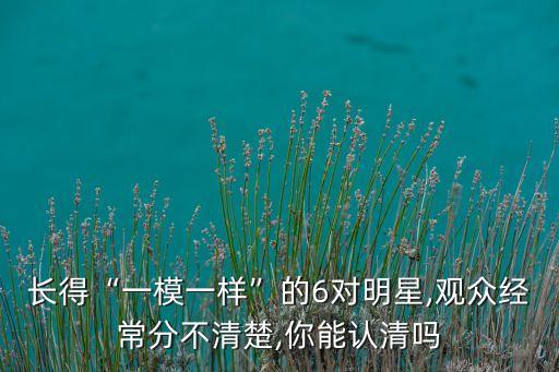 長得“一模一樣”的6對明星,觀眾經(jīng)常分不清楚,你能認清嗎