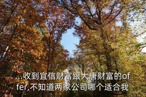 ...收到宜信財富跟大唐財富的offer,不知道兩家公司哪個適合我