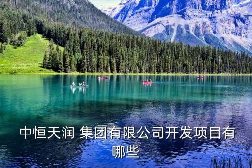  中恒天潤 集團(tuán)有限公司開發(fā)項目有哪些