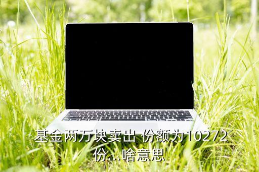  基金兩萬(wàn)塊賣出 份額為10272份…啥意思