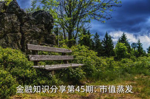 金融知識(shí)分享第45期: 市值蒸發(fā)