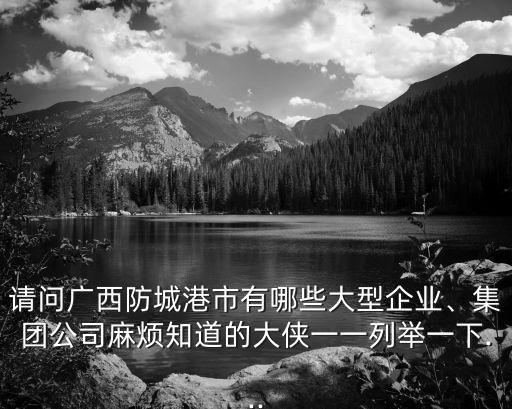 請問廣西防城港市有哪些大型企業(yè)、集團(tuán)公司麻煩知道的大俠一一列舉一下...