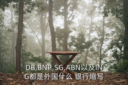 DB,BNP,SG,ABN以及ING都是外國(guó)什么 銀行縮寫