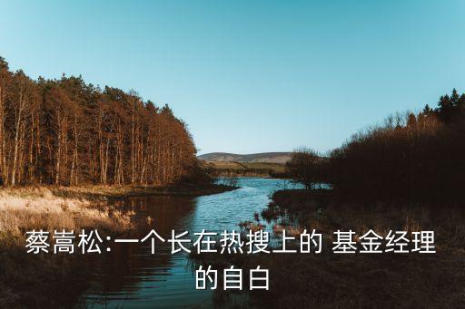 蔡嵩松:一個(gè)長在熱搜上的 基金經(jīng)理的自白