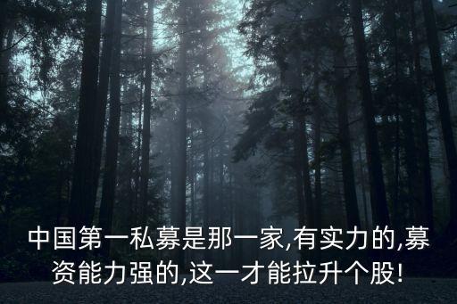 中國(guó)第一私募是那一家,有實(shí)力的,募資能力強(qiáng)的,這一才能拉升個(gè)股!