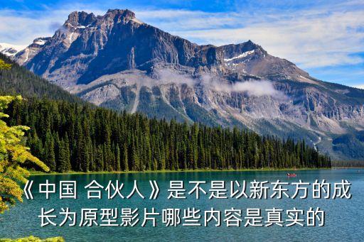 俞敏洪中國合伙人