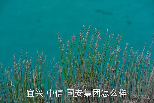 宜興 中信 國安集團怎么樣