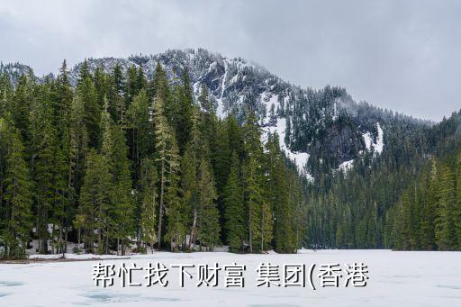 幫忙找下財富 集團(tuán)(香港